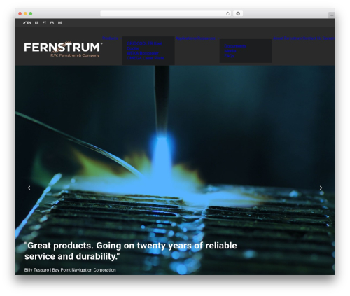 Echo widgets WordPress plugin - fernstrum.com