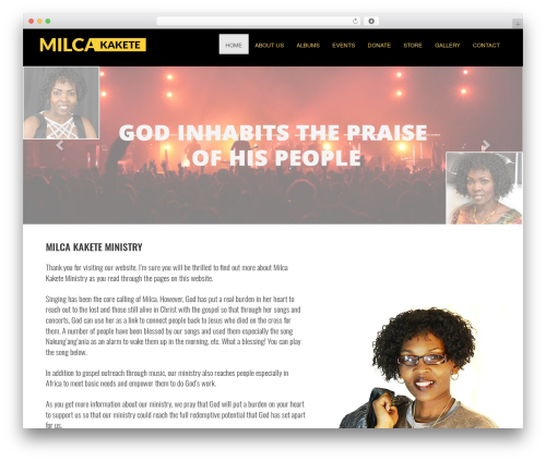 Base Theme WordPress theme - milcakakete.com