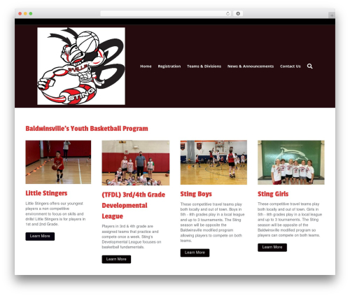 Teamsnap_wordpress WordPress plugin - bvillestinghoops.com