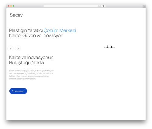 Digiwize WordPress theme - sacev.com