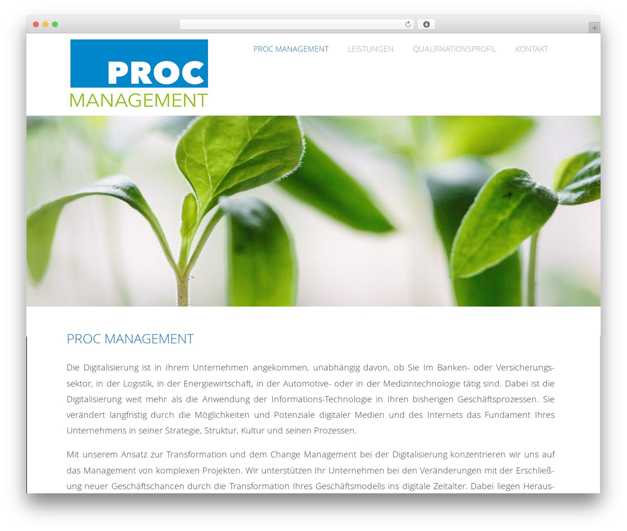 Theme WordPress Optimizer PRO - proc.management Theme WordPress Optimizer PRO - proc.management