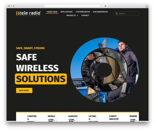 WordPress theme Hello Elementor - radio-remote.com