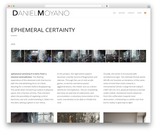 WordPress website theme TopPic - danielmoyanoart.com
