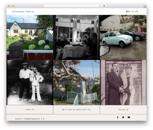 Elementor pro 2 WordPress plugin - vitestam.se