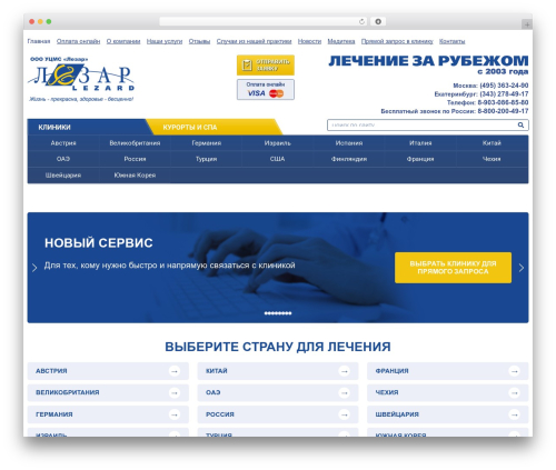 Root WordPress theme - lezard.ru