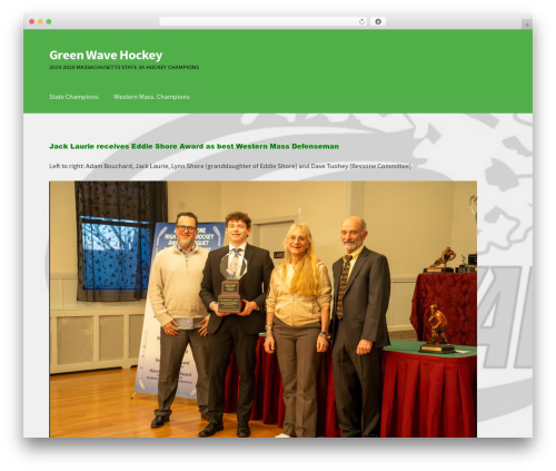 Storefront premium WordPress theme - greenwavehockey.com