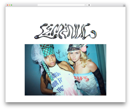 B tiktok feed WordPress plugin - liminul.xyz