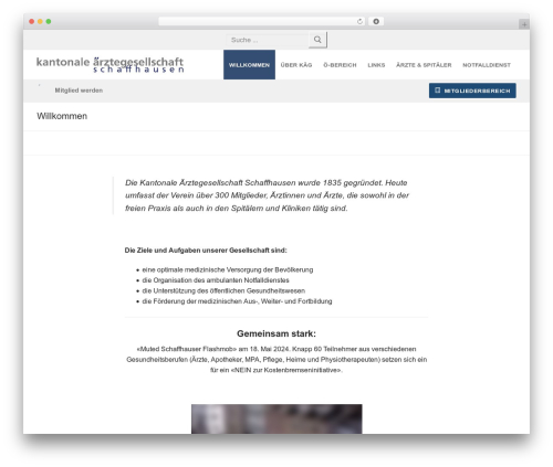 Customify pro WordPress plugin - aerzte-schaffhausen.ch