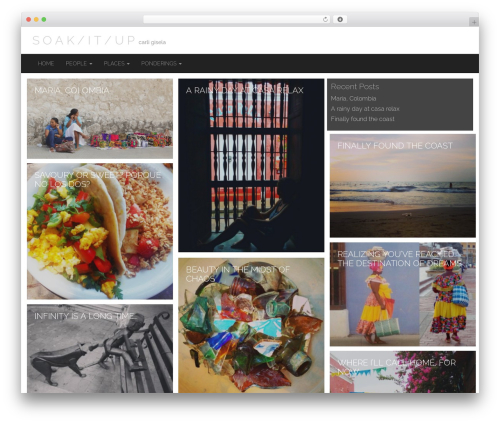 Social feed premium WordPress plugin - carligisela.net
