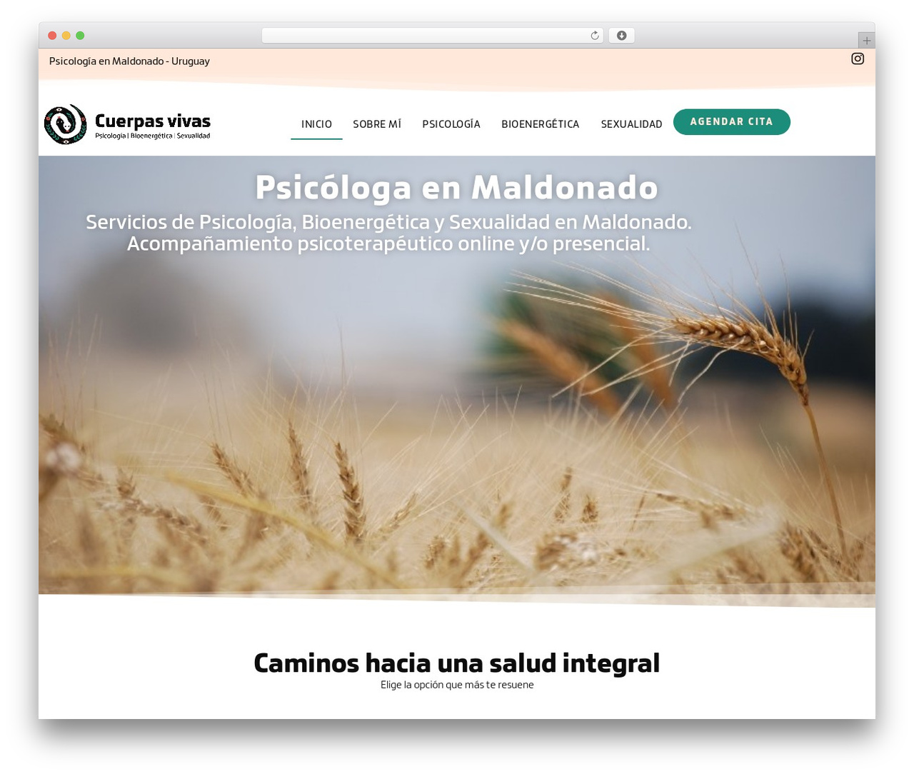 Hello Elementor WP theme - cuerpasvivas.com