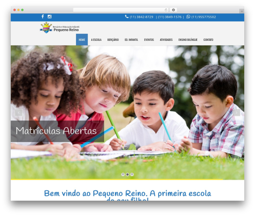 Buddhathemes core features WordPress plugin - pequenoreino.com.br