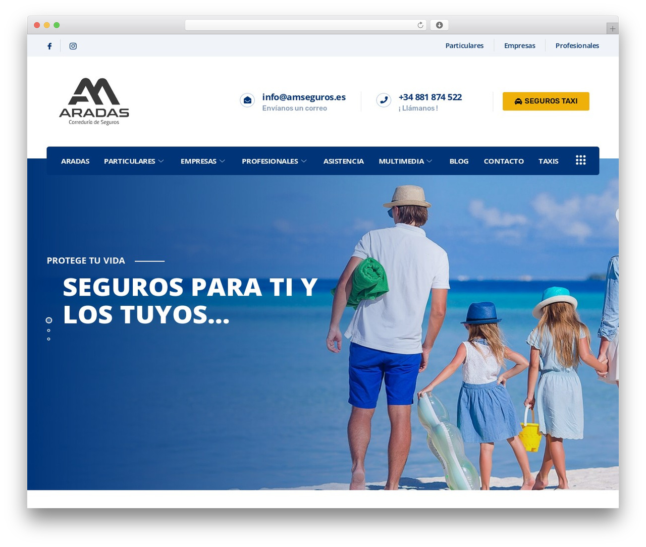 Theme WordPress instive - amseguros.es