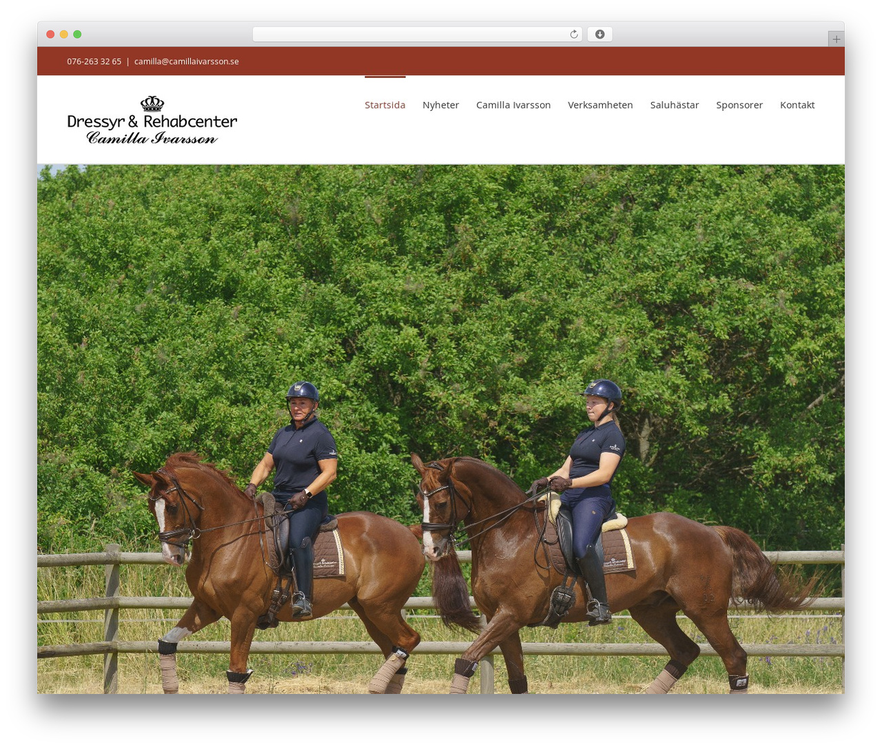 WordPress theme Avada - camillaivarsson.se WordPress theme Avada - camillaivarsson.se