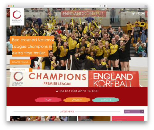 WP Freshdesk (wp-freshdesk) free WordPress plugin - englandkorfball.co.uk