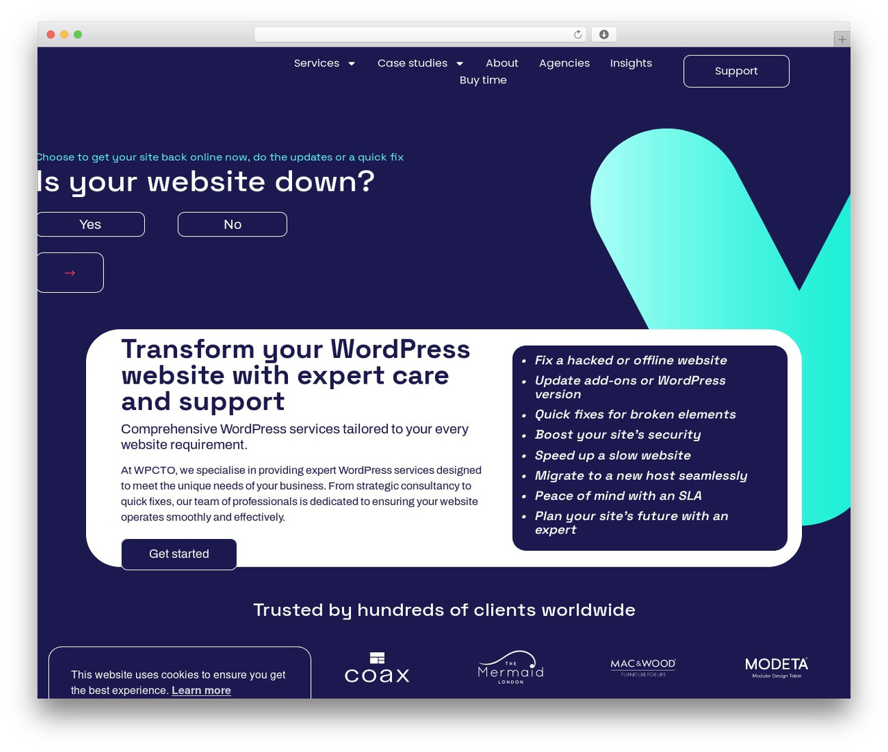 WordPress theme Hello Elementor - wpcto.net