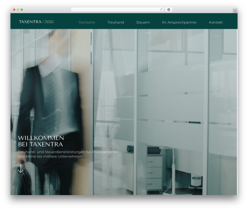 WordPress theme Mustersite - taxentra.ch
