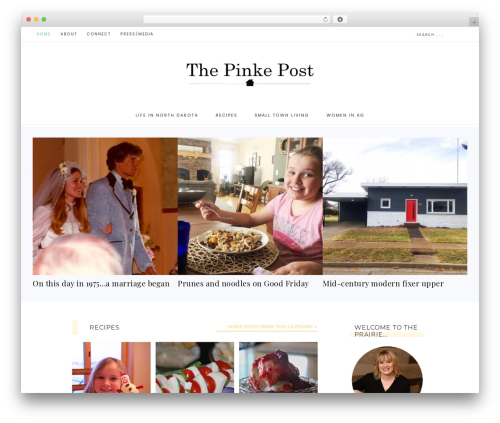Captivating Theme best WordPress theme - thepinkepost.com