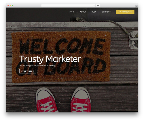 Divi WordPress theme - trustymarketer.com
