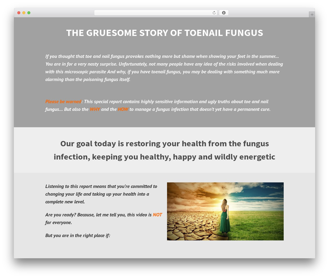 evolve WordPress theme - oiigermany.org evolve WordPress theme - oiigermany.org