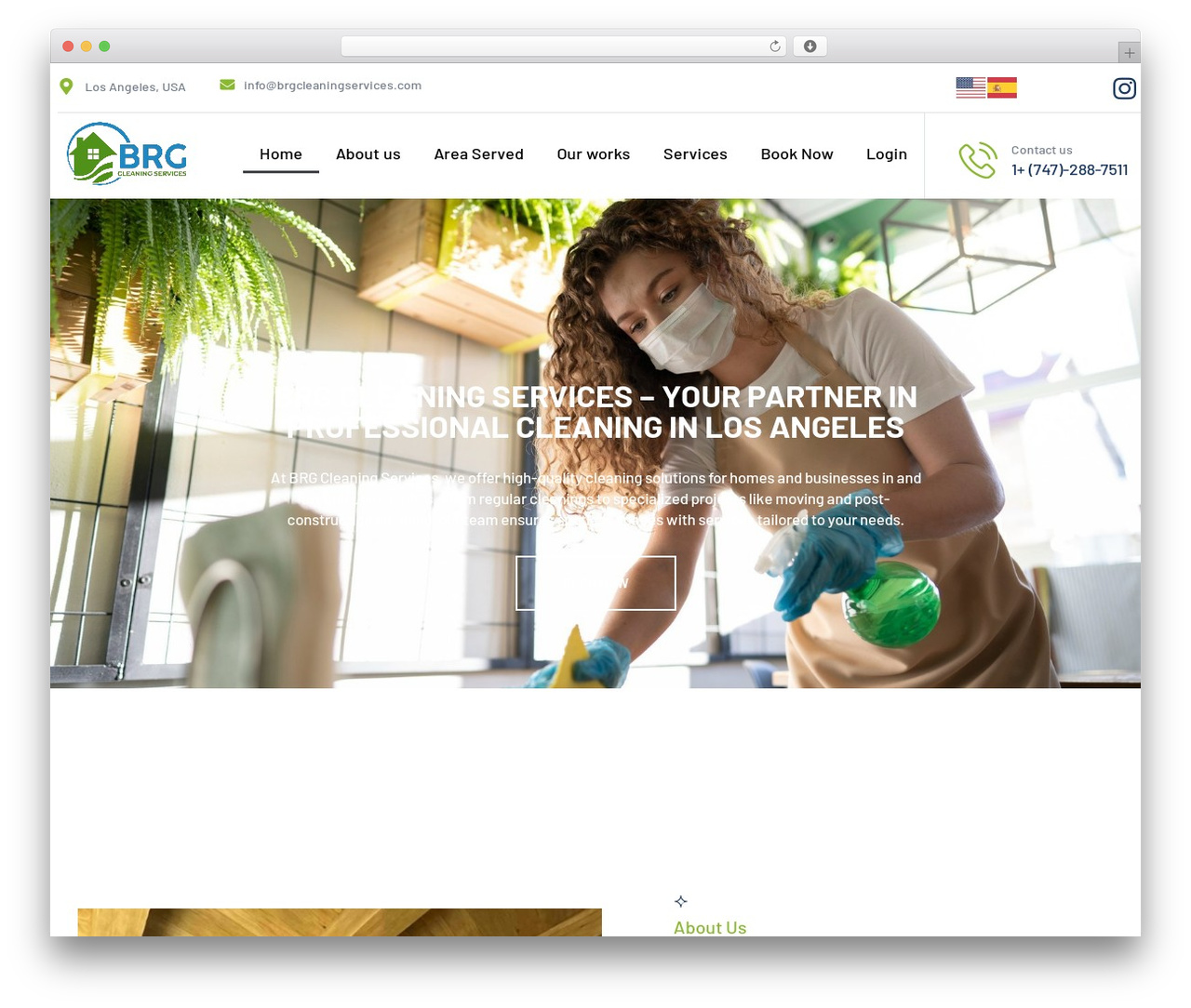Hello Elementor WordPress theme - brgcleaningservices.com
