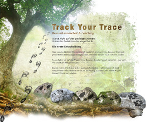 track your trace WordPress theme track your trace WordPress theme
