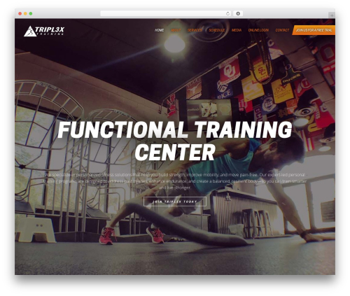 Triplex WordPress theme - triplextraining.com