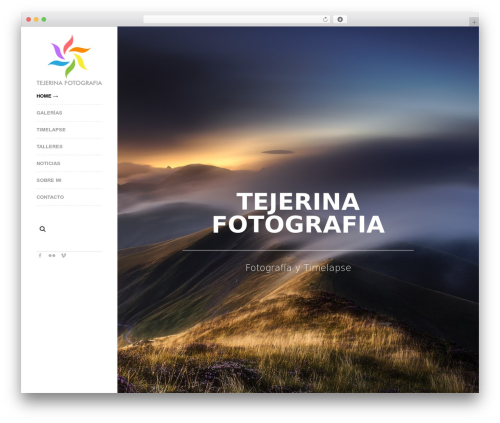 WordPress theme Raw - tejerinafotografia.com