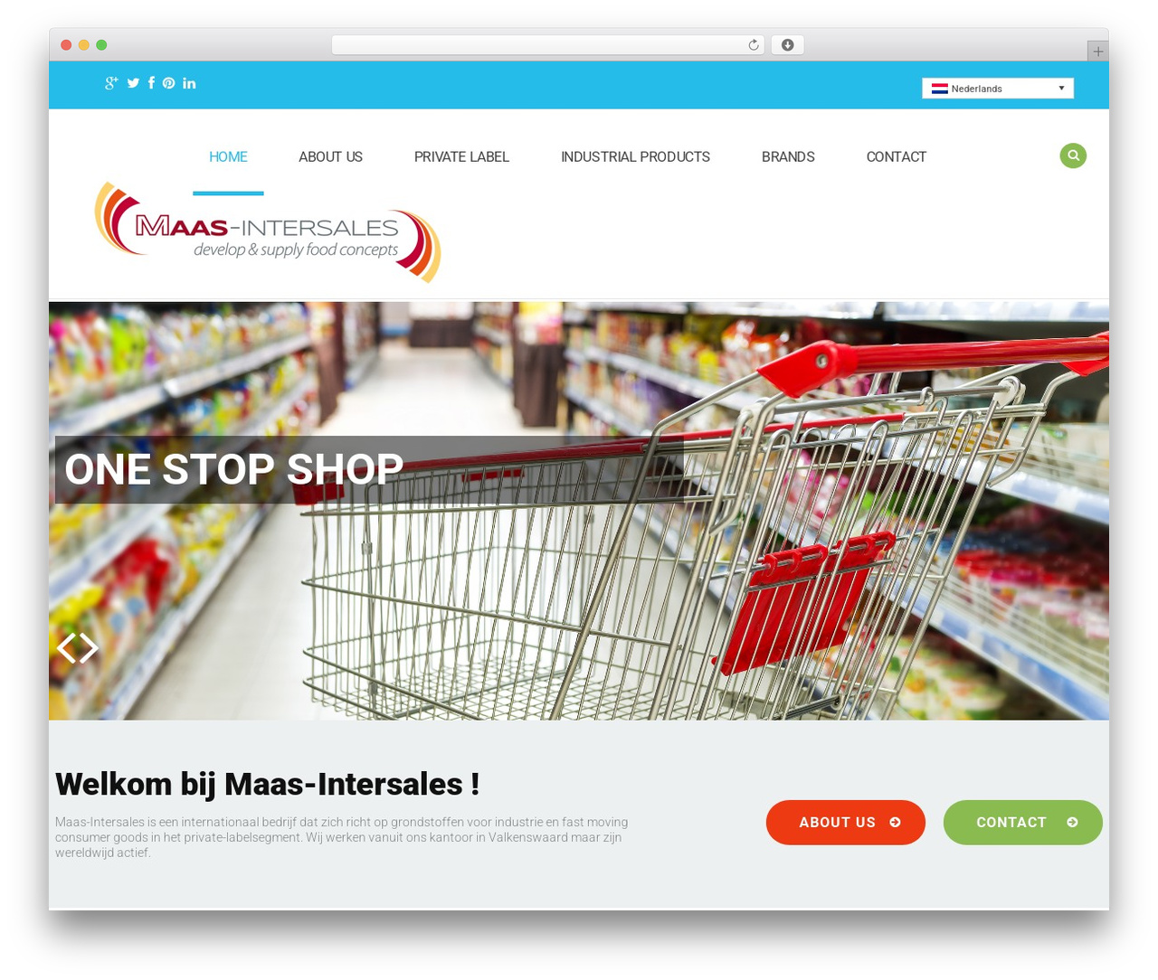 WordPress theme cherry - maas-intersales.com