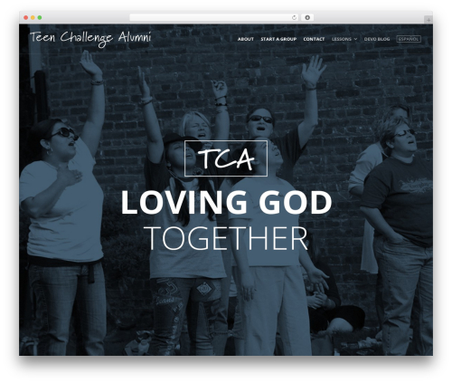 Create premium WordPress theme - teenchallengealumni.org