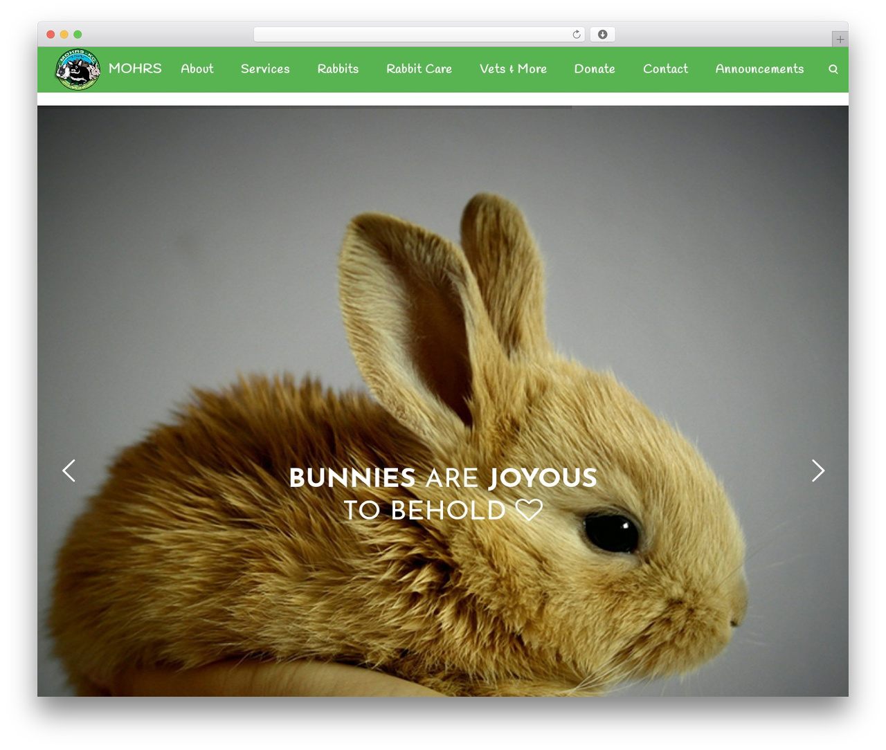 Lambda theme WordPress - mohrs.org Lambda theme WordPress - mohrs.org
