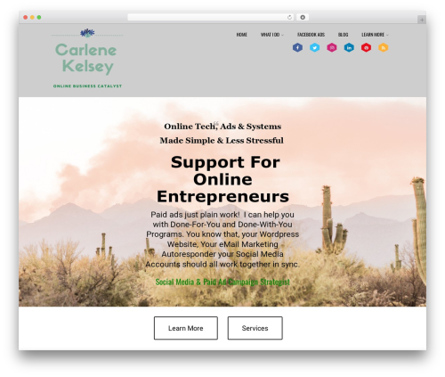 Optimizer PRO theme WordPress - carlenekelsey.biz