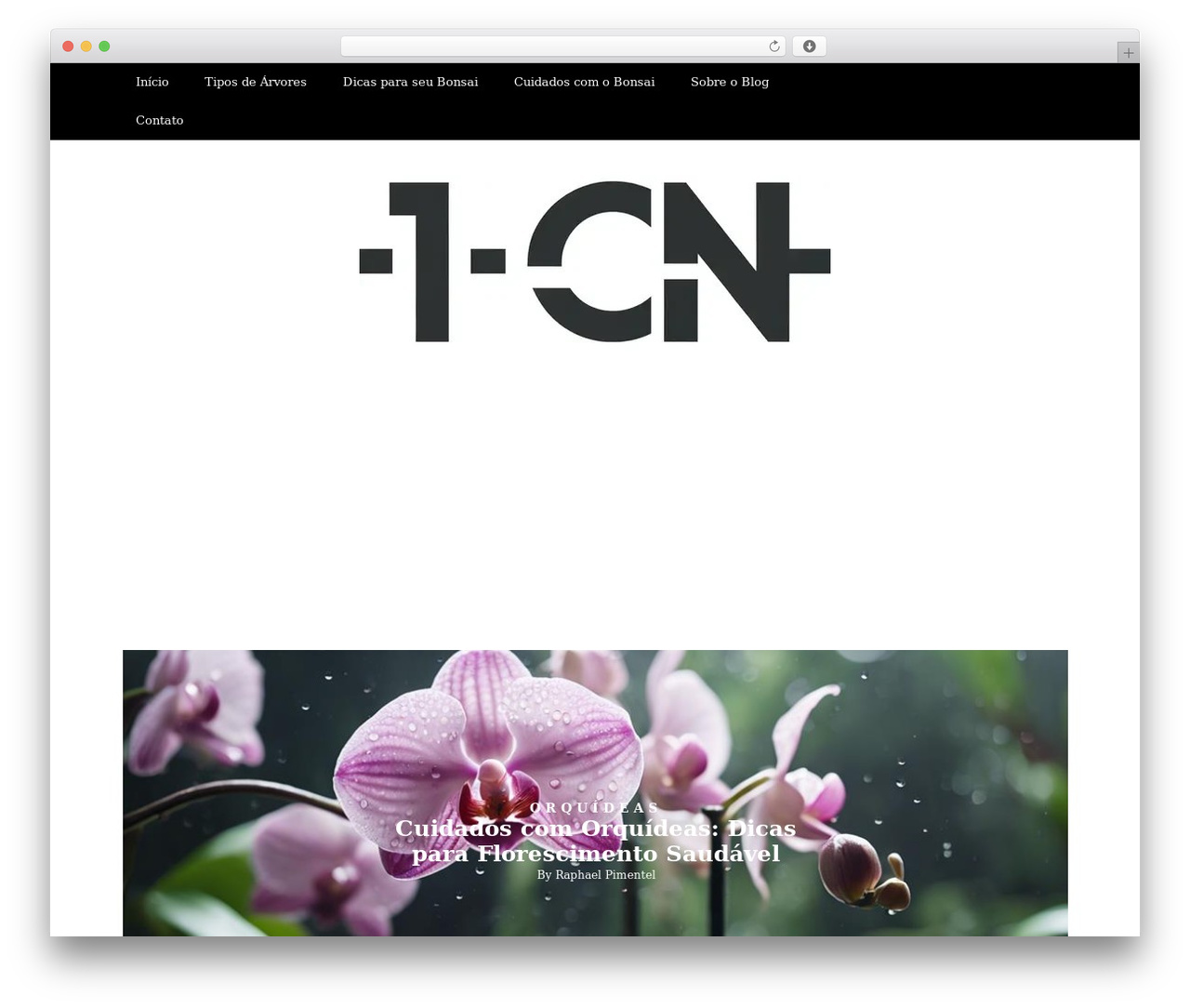 Theme WordPress Writee - 1cn.com.br Theme WordPress Writee - 1cn.com.br