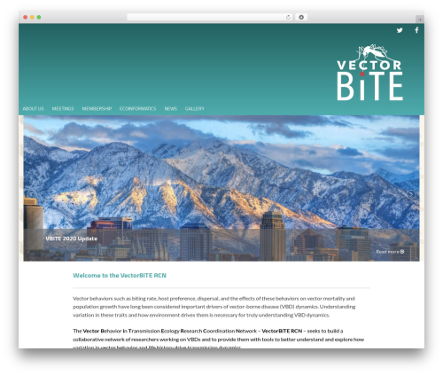 Duplicate page and post WordPress plugin - vectorbite.org