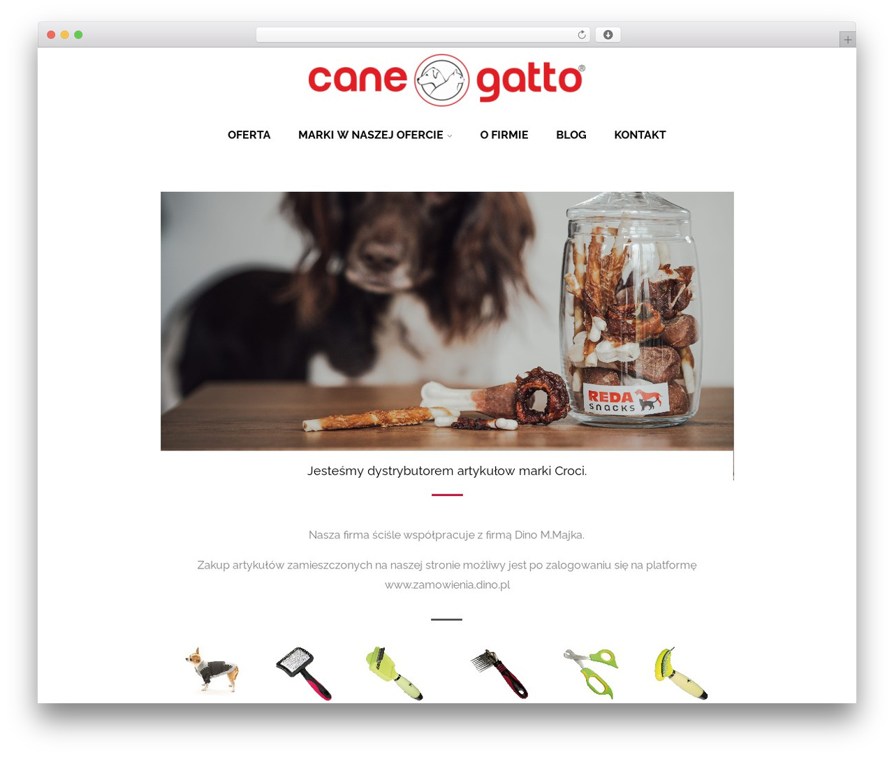 Optimizer PRO WordPress theme - canegatto.pl