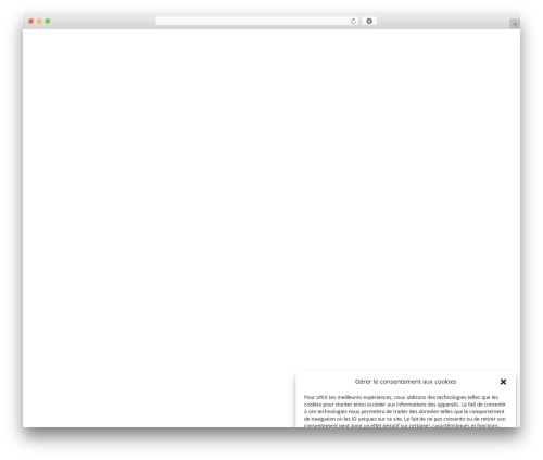 program33 WordPress theme - program33.com