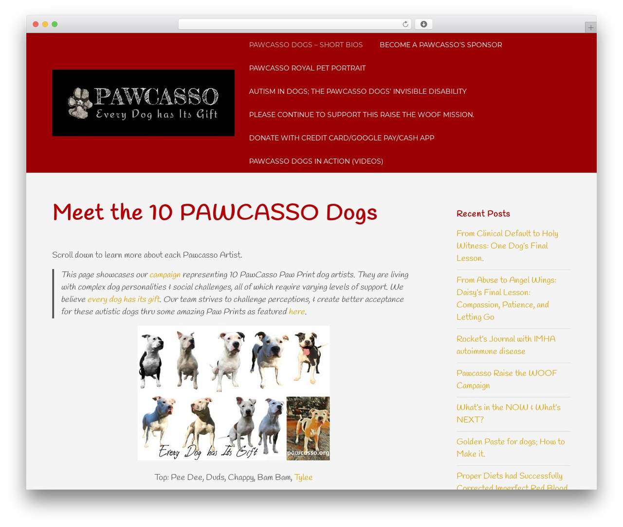 WordPress theme Bento - pawcasso.org