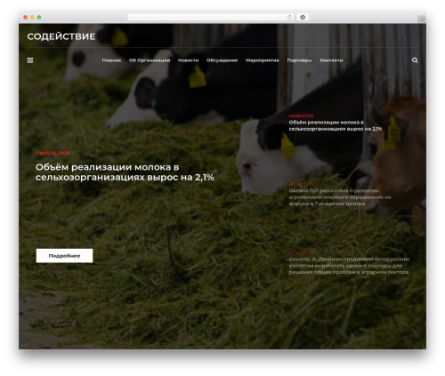 Modeltheme framework WordPress plugin - sodeystvie.info