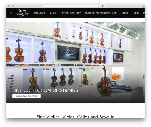 WordPress website theme GOYA - tongmingxi.com