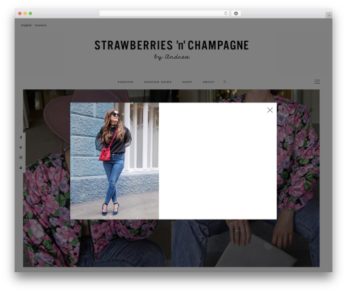 Hercules core WordPress plugin - strawberriesnchampagne.com