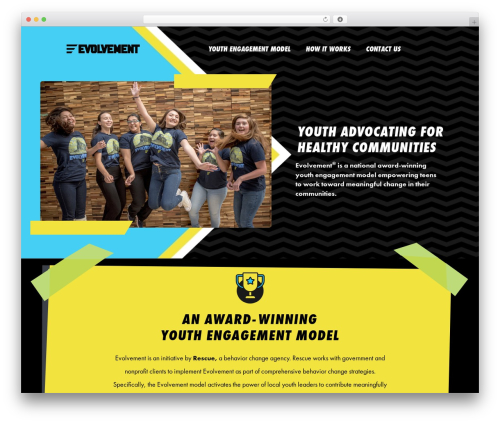 Our services showcase pro WordPress plugin - evolvement.org