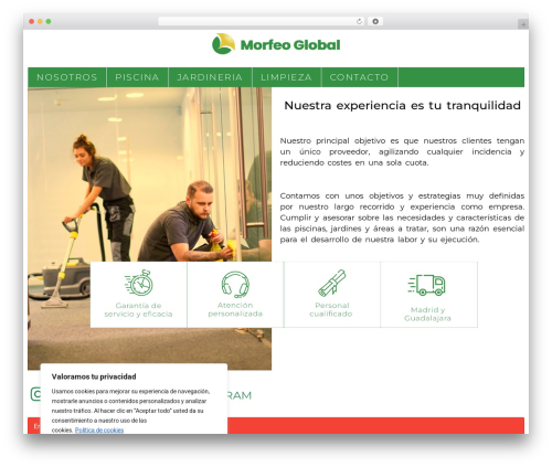 WordPress theme Hello Elementor - morfeoglobal.com