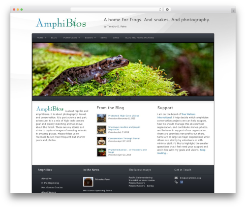 Complexity WordPress theme image - amphibios.org