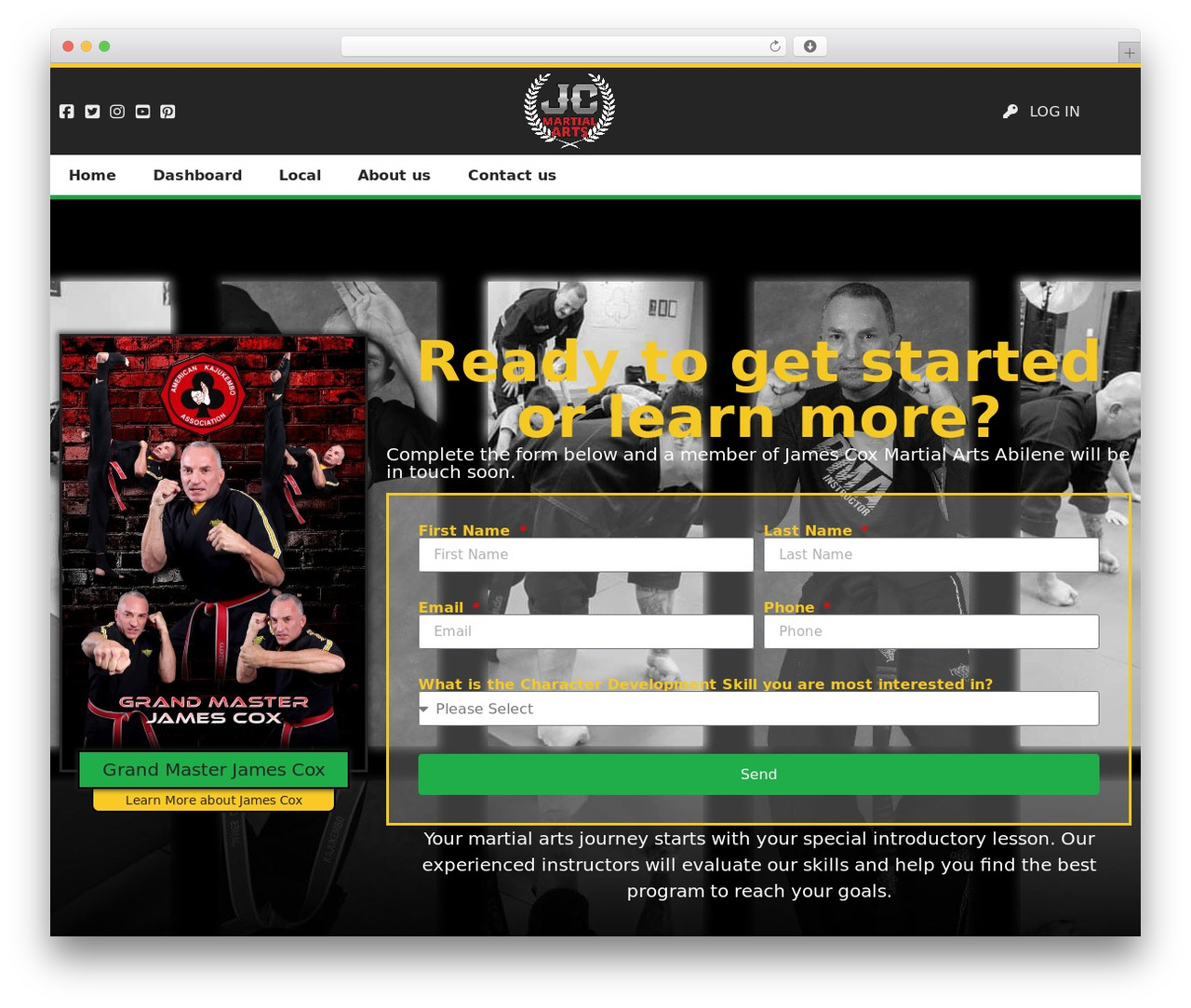 Hello Elementor WordPress theme - jamescoxmartialarts.com