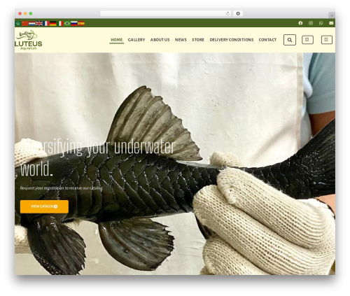 Rtwwpcp woocommerce pdf catalog pro WordPress plugin - luteusaquarium.com