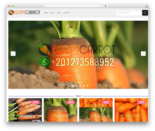 Best WordPress theme Egylinko - egyptcarrot.com