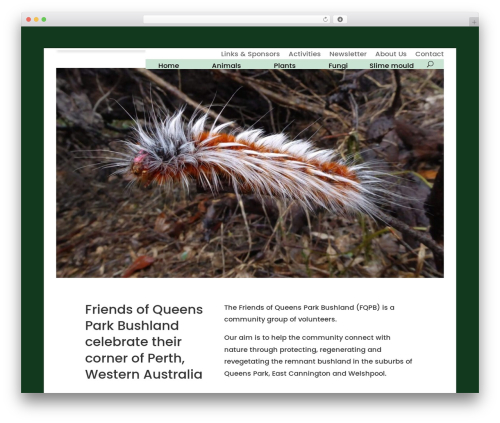 Divi theme WordPress - friendsofqueensparkbushland.org.au