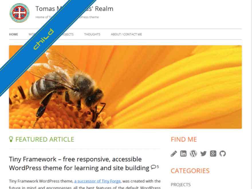 WordPress theme Tiny Framework