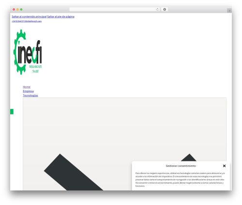 Bricks WordPress theme - inecfi.com
