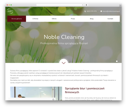 Default WordPress theme - noblecleaning.pl