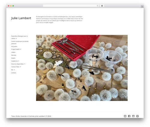 WordPress theme Reframe Plus - julielambert.ca